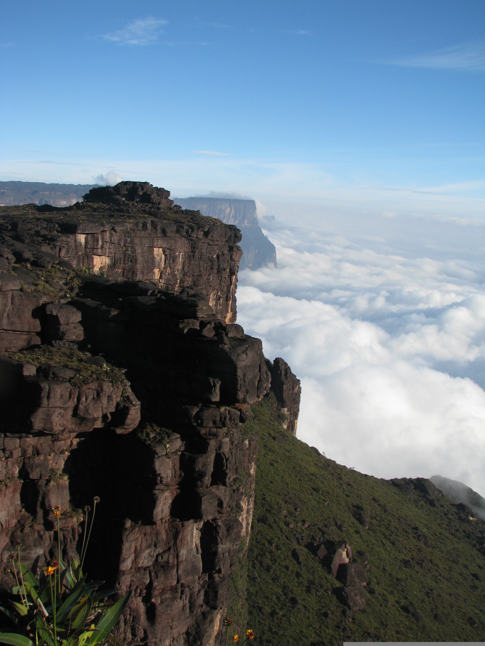 Les Tepuys - Canaima Venezuela - Origine du nom - Le Plessis-Trévise
